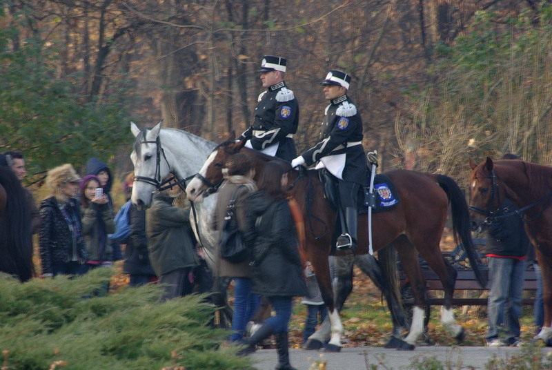 2011-12-01-12-23-44-imgp4085