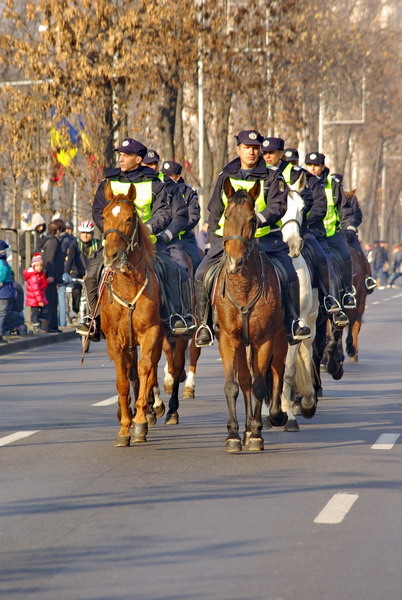 2011-12-01-12-41-24-imgp4093