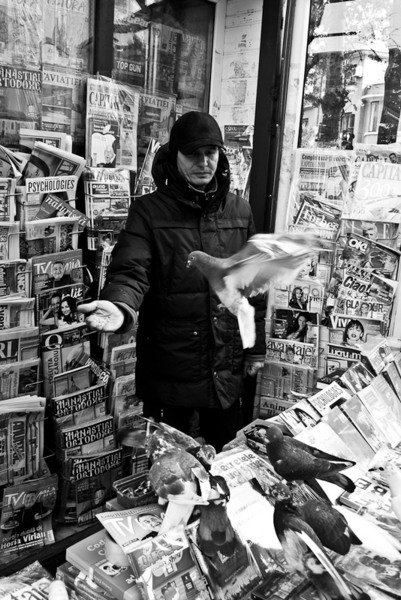 vinzatorul-de-porumbei