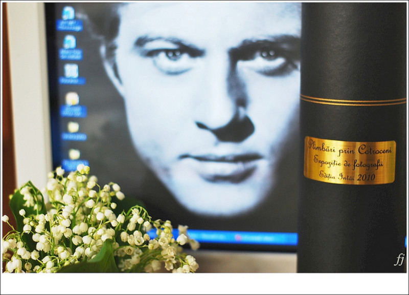 locul-1-plimbari-prin-cotroceni