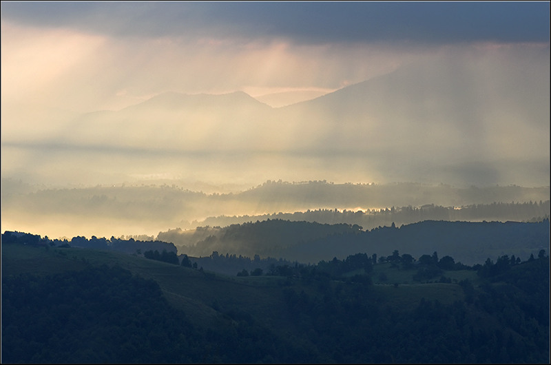 serbanvornicu_selectie_2011_16