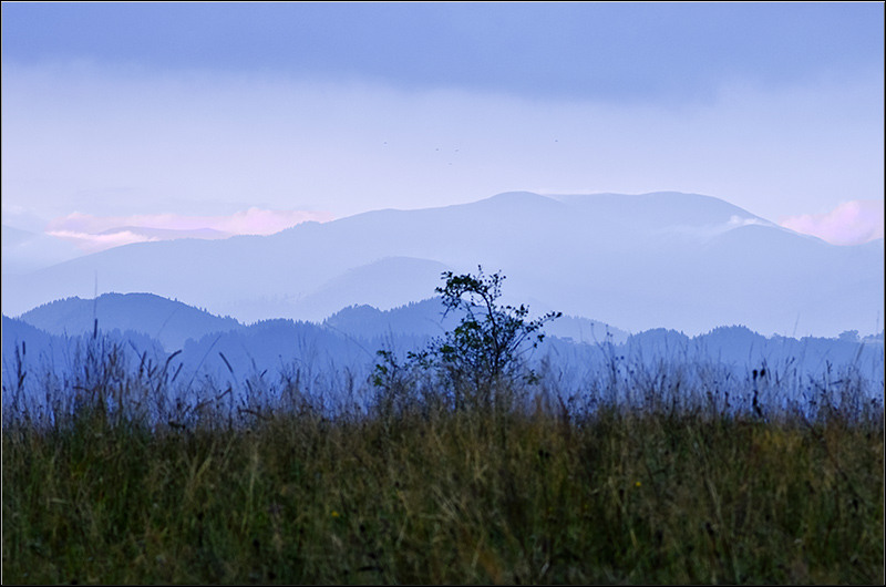 serbanvornicu_selectie_2011_17