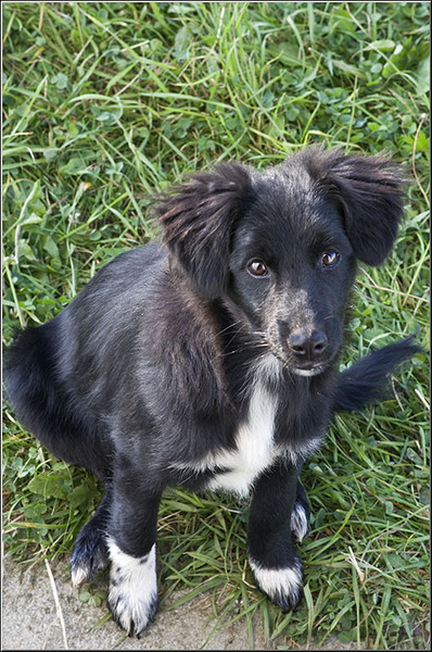 serbanvornicu_selectie_2011_18