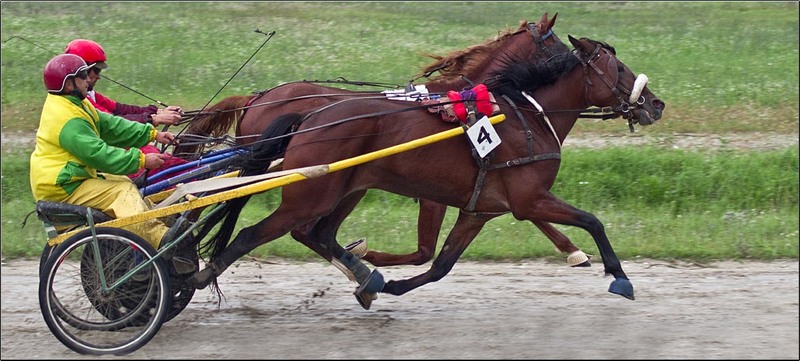 serbanvornicu_selectie_2011_30