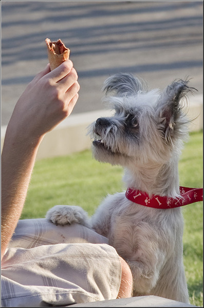 serbanvornicu_selectie_2011_33