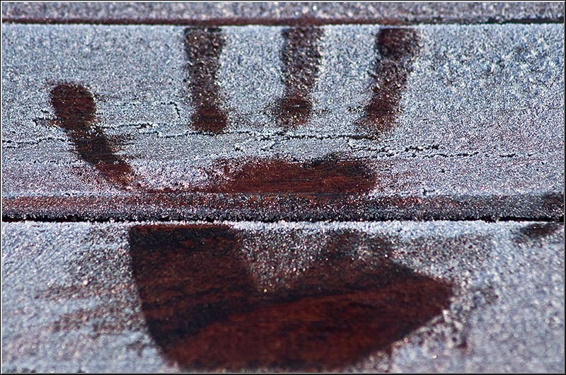 serbanvornicu_selectie_2011_39