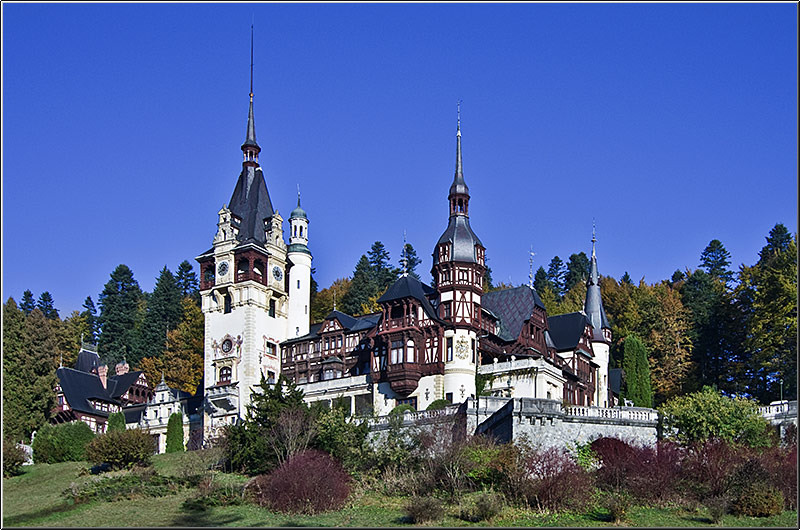 serbanvornicu_selectie_2011_46