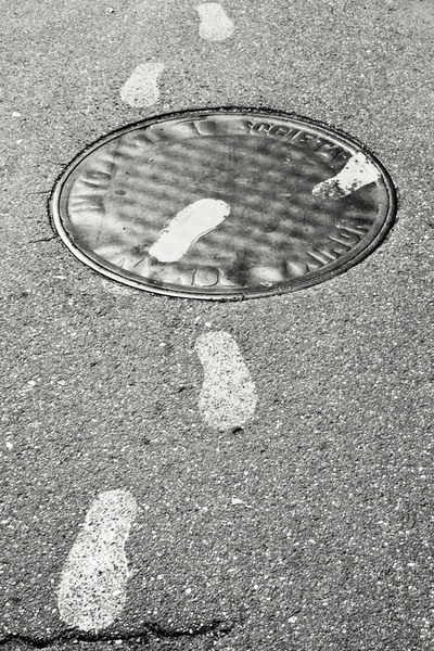 dungha_pasii_verzi_dng6865