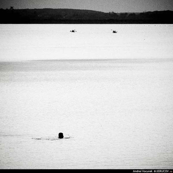 kerucov_17_bucuresti110716_inotatorul