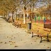 kerucov_27_bucuresti111126_parcul_crangasi