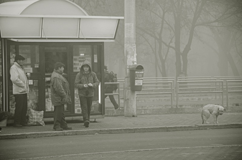 portrete-de-dungha_01