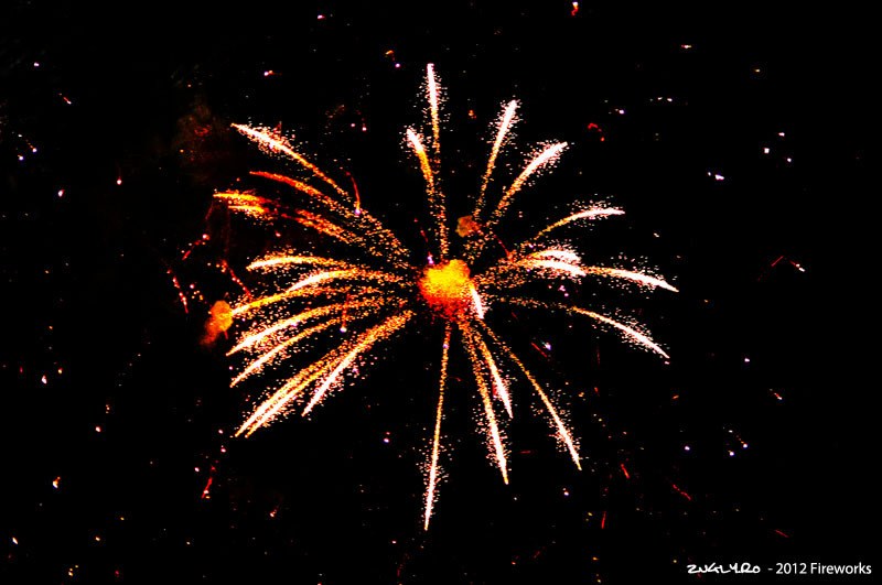fireworks2012-05