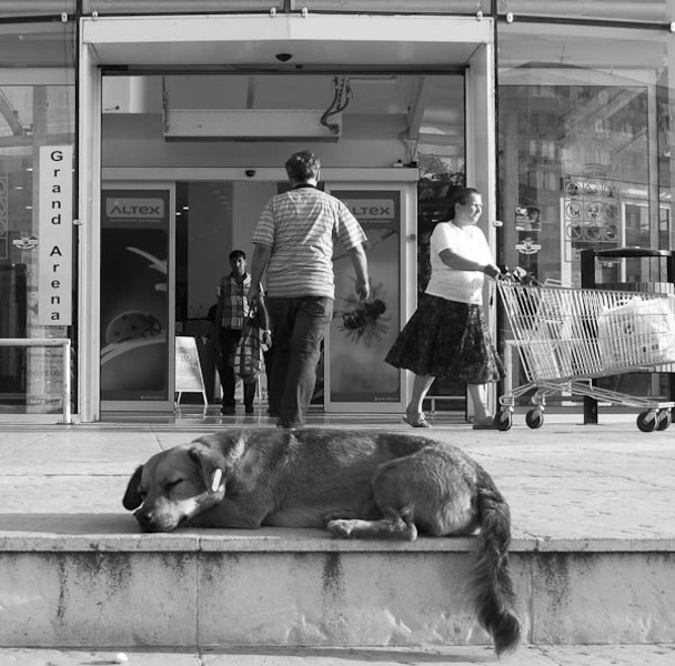 visand&#45;la&#45;grand&#45;arena