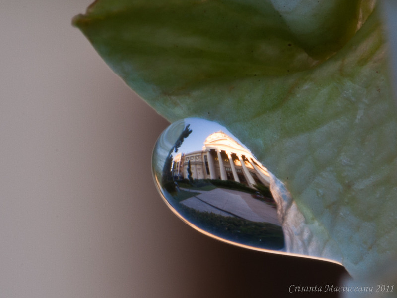 dupa-ploaie-la-ateneu