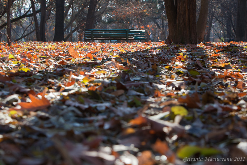 o-zi-cu-de-iarna-cu-soare