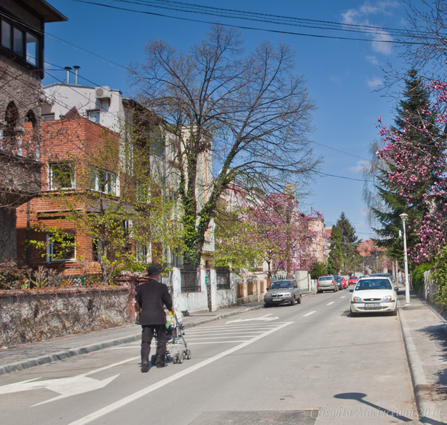 plimbari-prin-cotroceni