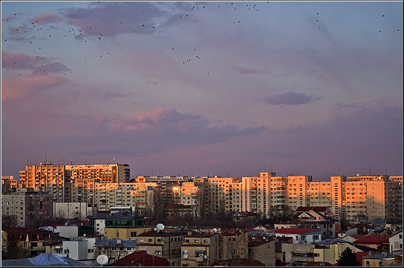 serbanvornicu_foisorfoc2012_13