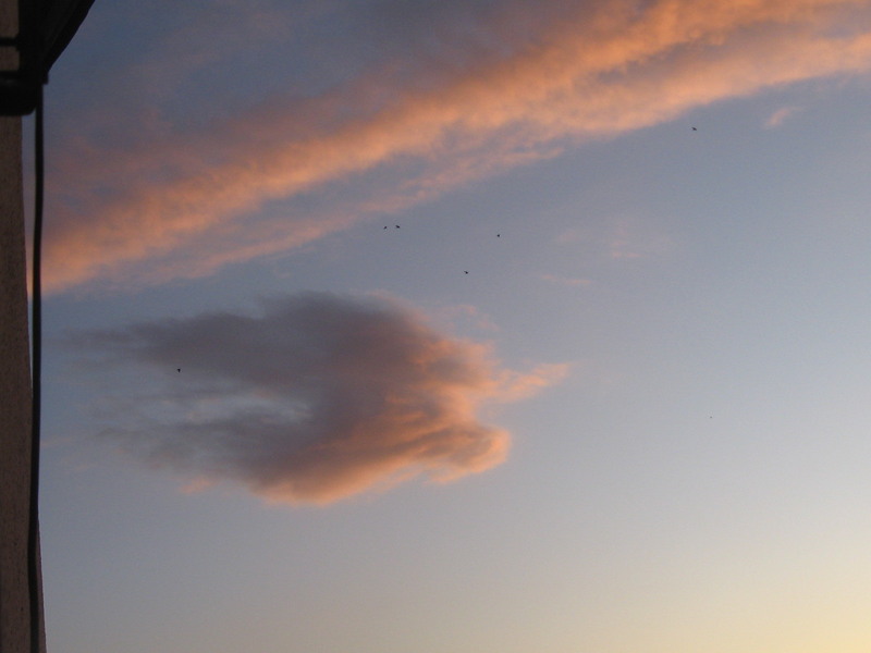 lansare-carte-ion-cazaban-la-fundatia-lowendal-052