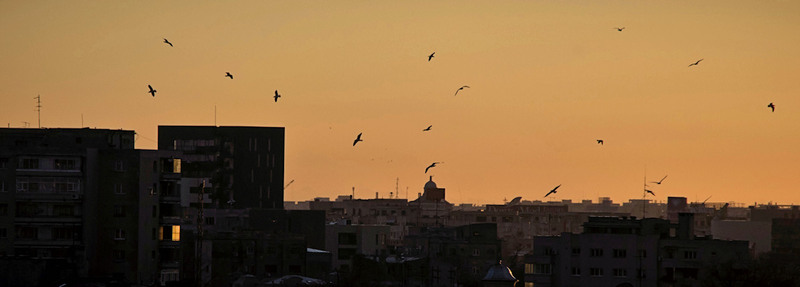 Bucurestiul din Foisorul de foc