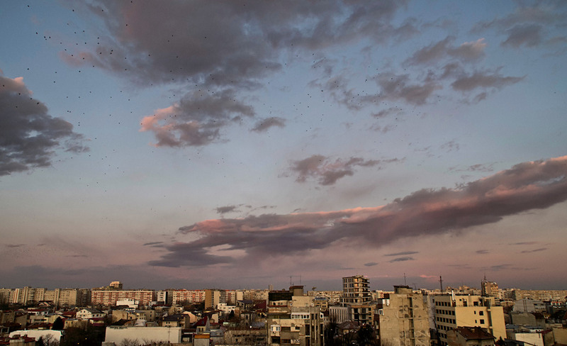 Bucurestiul din Foisorul de foc