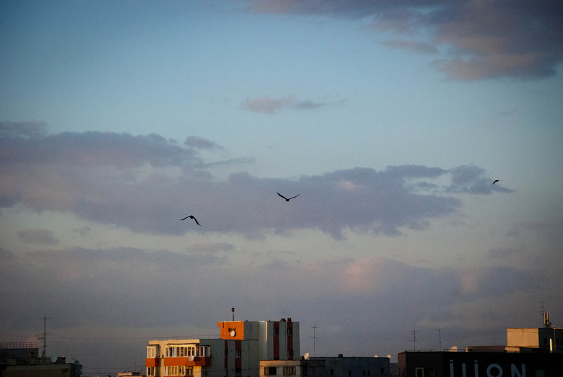 foisorul-de-foc-14012012-11