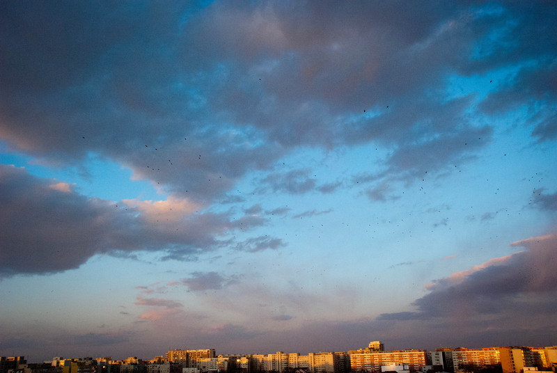 foisorul-de-foc-14012012-6