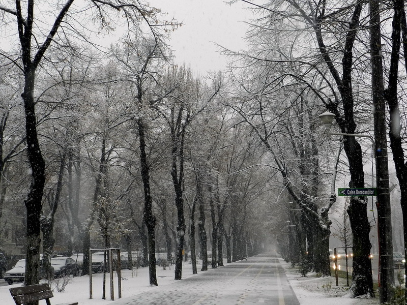 Bulevardul Aviatorilor