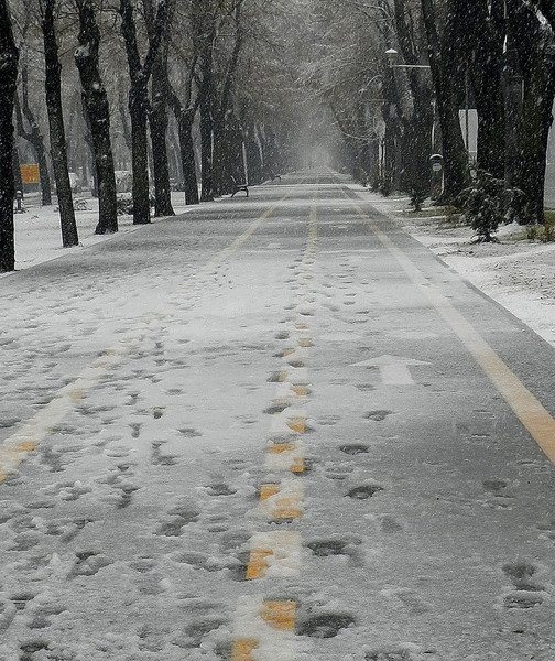 Bulevardul Aviatorilor