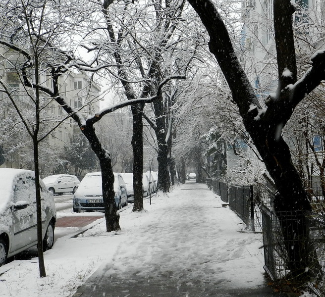 Strada Marinarilor (Cartier Baneasa)