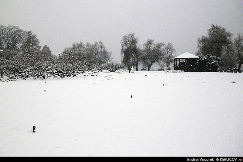 bucuresti120121_foisor