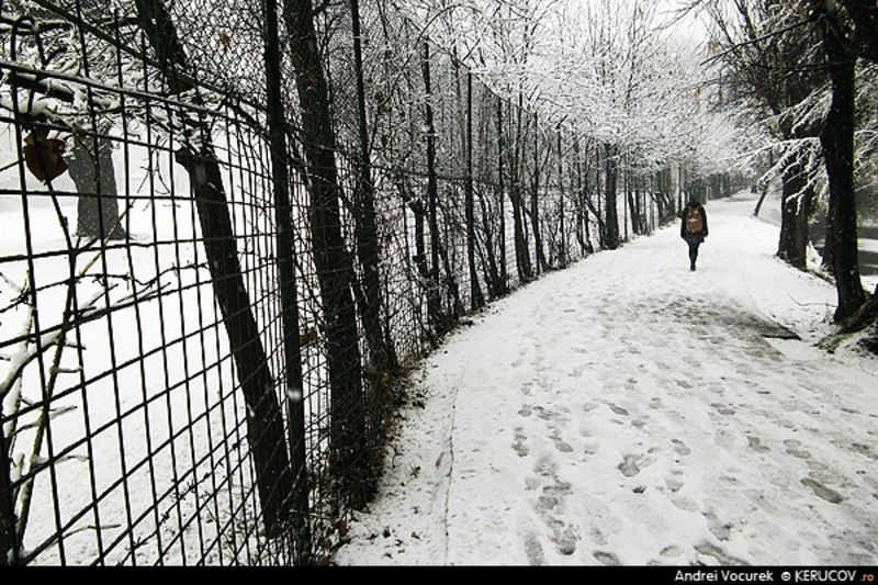 bucuresti120121_gardul_zid