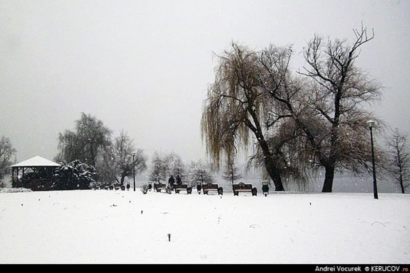 bucuresti120121_iarna_in_herastrau_1