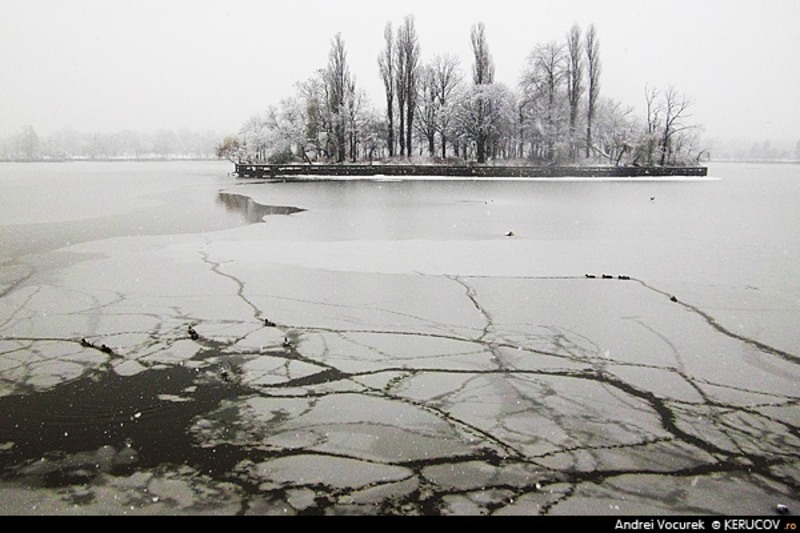 bucuresti120121_iarna_pe_lac
