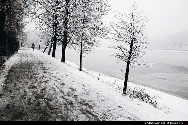 bucuresti120121_zi_de_iarna