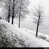 bucuresti120121_zi_de_iarna