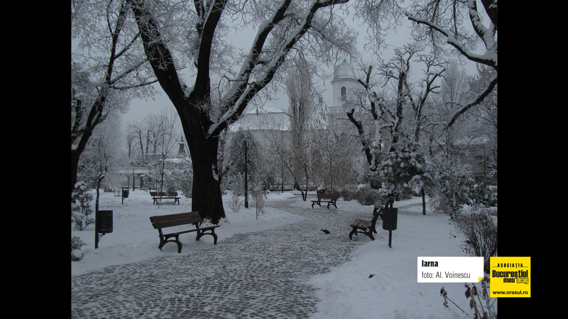 alexandru_voinescu_iarna