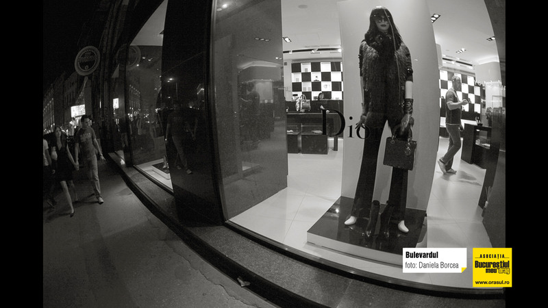 daniela_borcea_bulevardul
