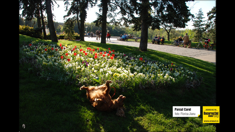 florica_jianu_parcul_carol