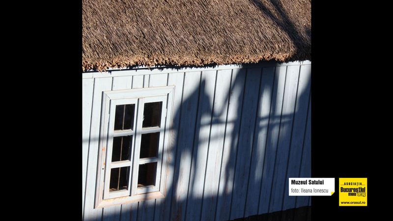 ileana_ionescu_muzeul_satului