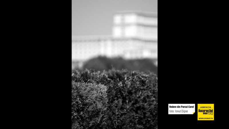 ionut_dipse_vedere_din_parcul_carol