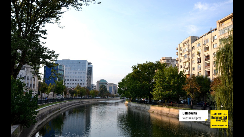 iulia_oprea_dambovita