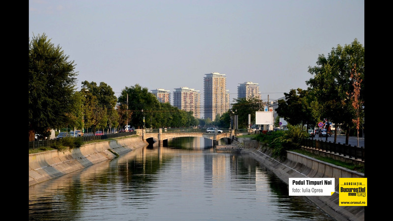 iulia_oprea_podul_timpuri_noi