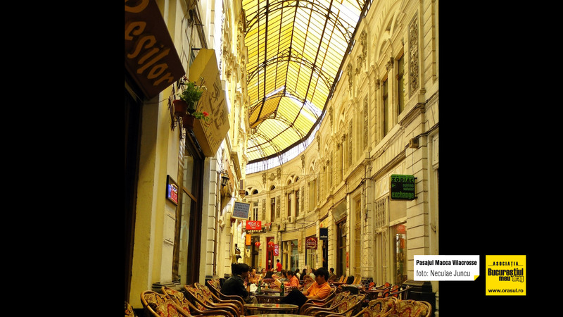 neculae_juncu_pasajul_macca_vilacrosse