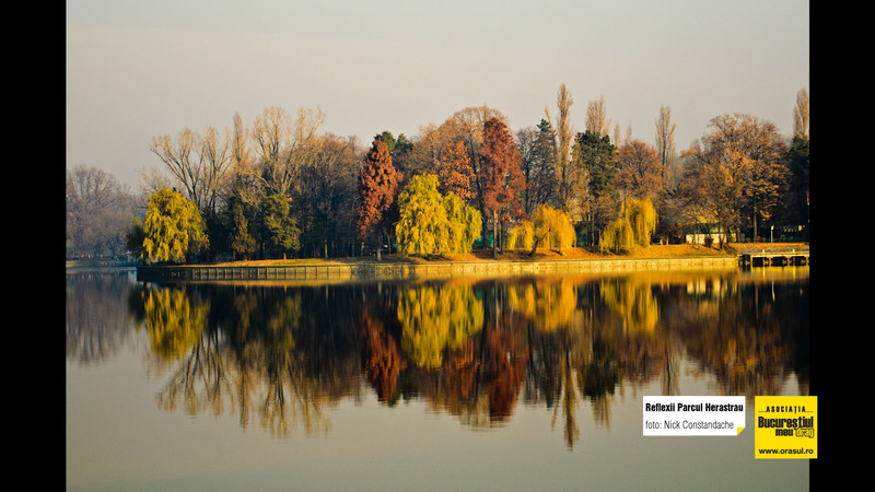 nick_constandache_reflexii_parcul_herastrau