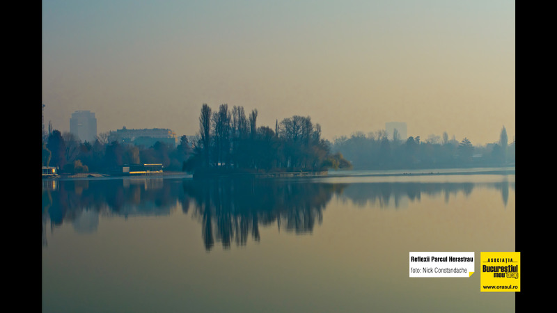 nick_constandache_reflexii_parcul_herastrau_2