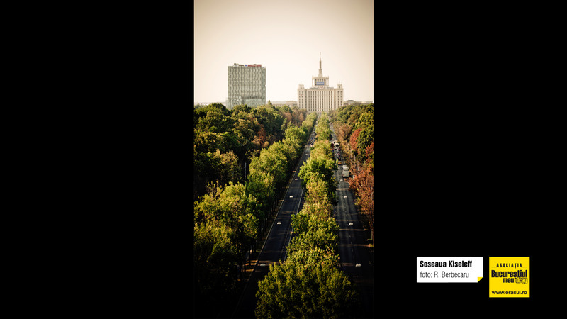 razvan_berbecaru_soseaua_kiseleff