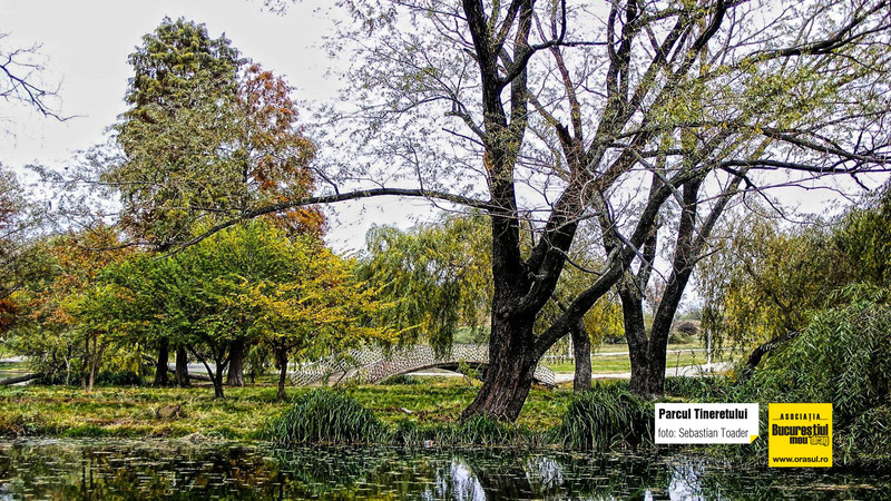 sebastian_toader_parcul_tineretului