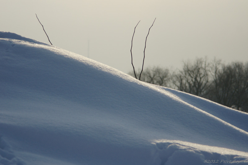 pc-orasulrochiajna0002