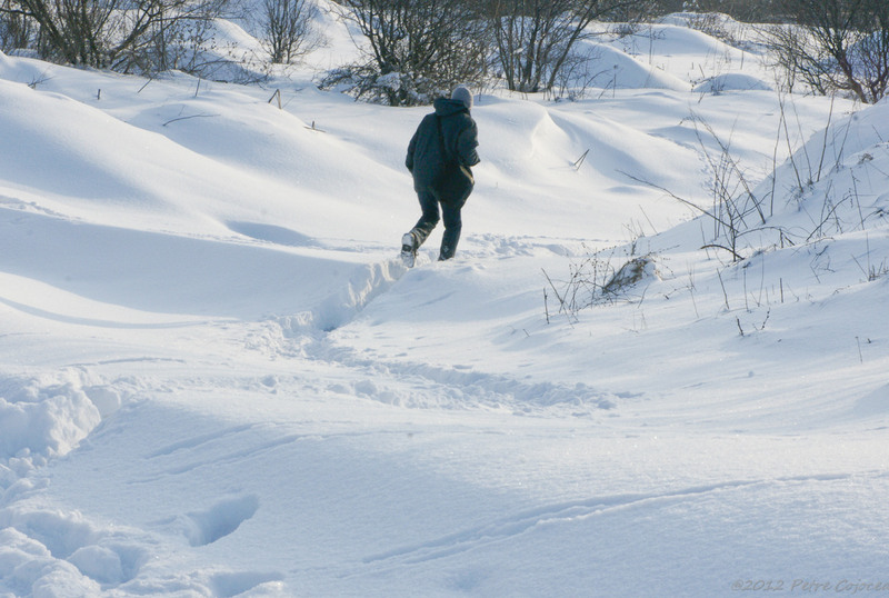 pc-orasulrochiajna0003