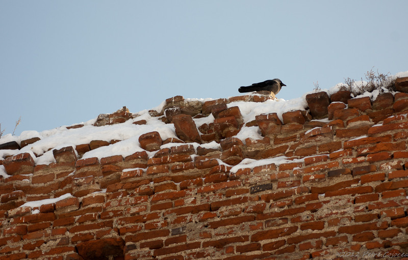 pc-orasulrochiajna0012